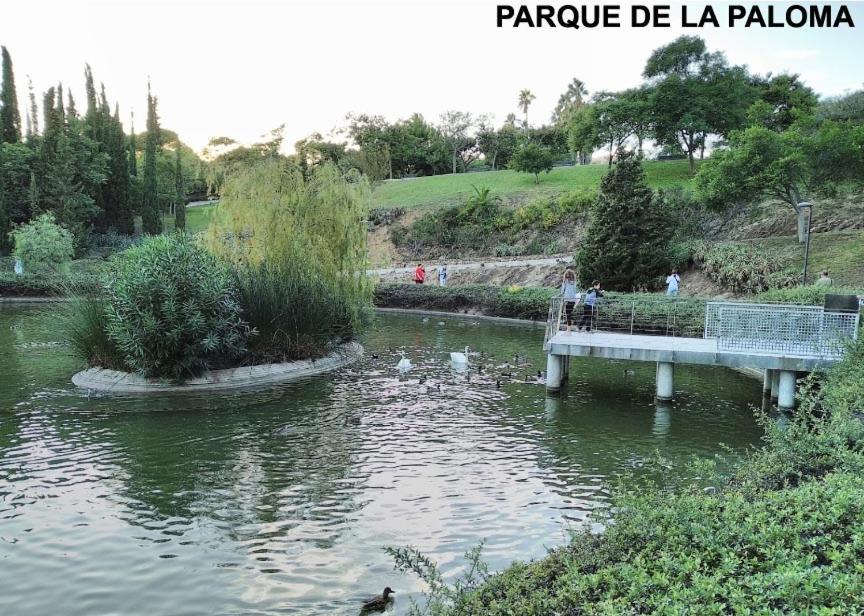 Estudio Benalbeach Primera Linea De Playa Benalmádena Dış mekan fotoğraf
