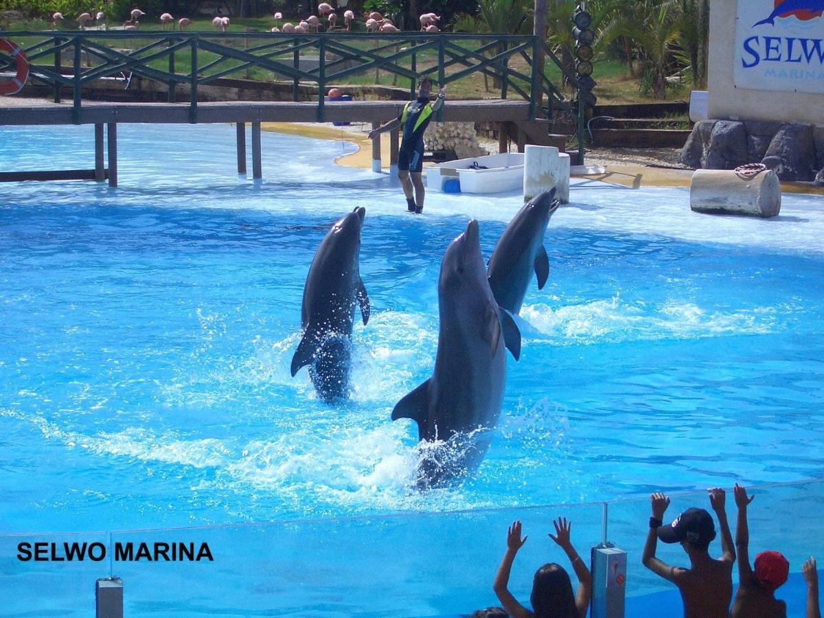 Estudio Benalbeach Primera Linea De Playa Benalmádena Dış mekan fotoğraf